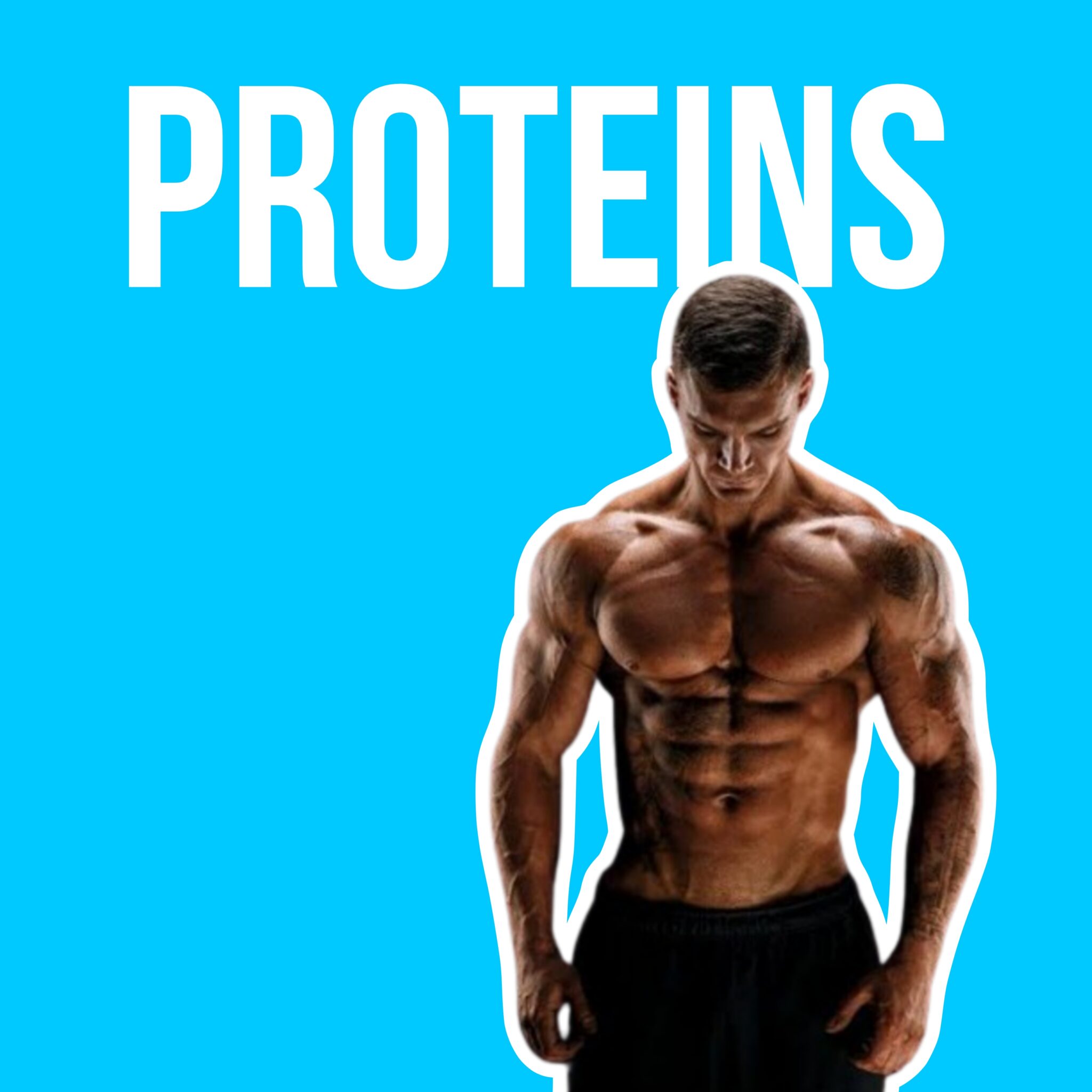 category banner protein
